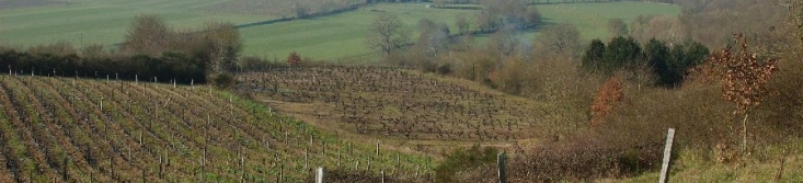 Domaine Patrick Baudouin